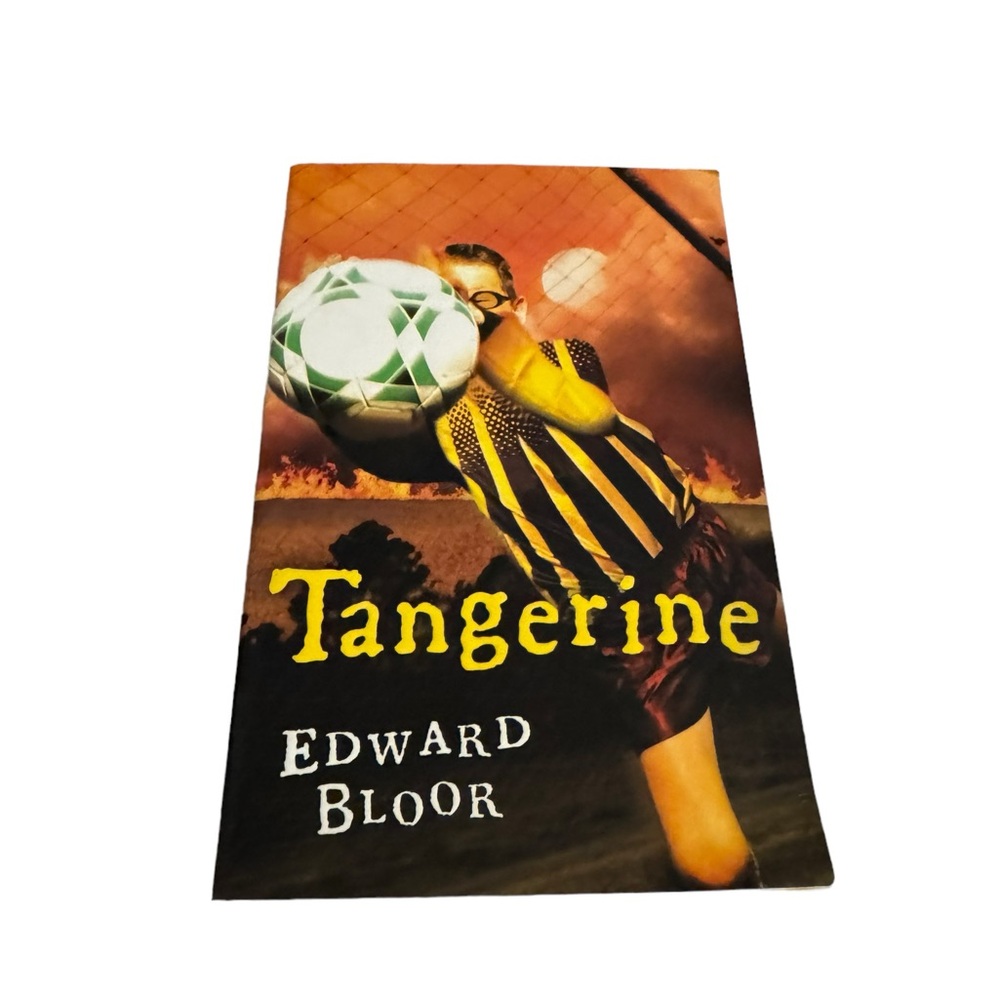 Young adult paperback book / Tangerine by Edward Bloor. GUC